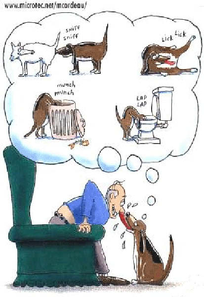 bon chien-humourenvrac